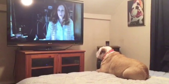 Bulldog Reacts To Terrifying Nun Scene in “The Conjuring 2”