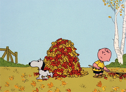 It’s the Great Pumpkin, Charlie Brown – Clip
