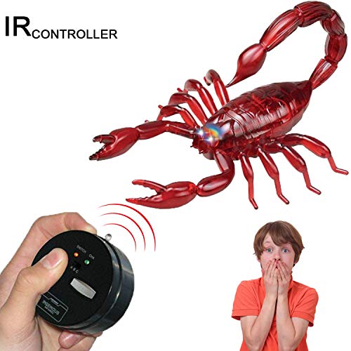 Remote Control Giant Scorpion